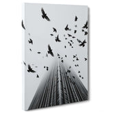Fotografia in Bianco e Nero - In Fuga da Wall Street